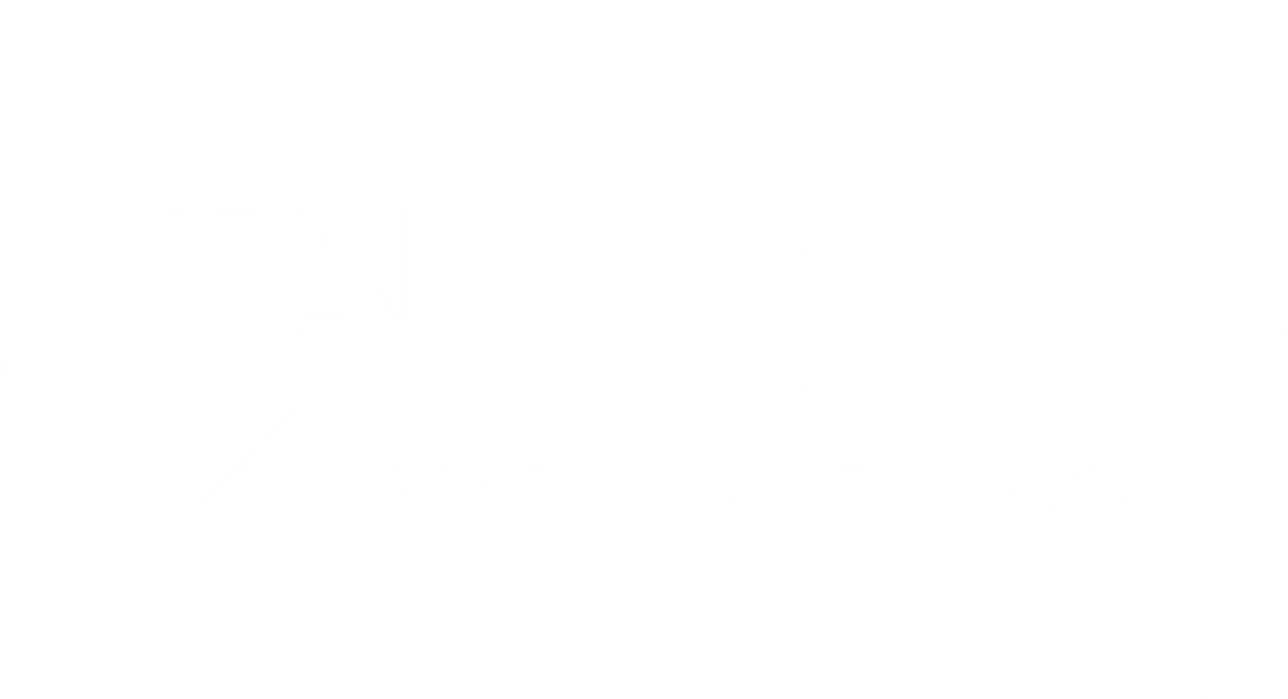TECSE – Servicios Digitales & Tecnológicos
